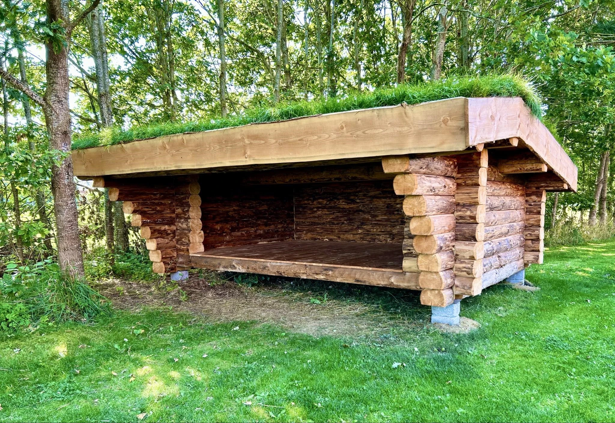 Shelter5